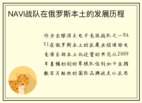 NAVI战队在俄罗斯本土的发展历程